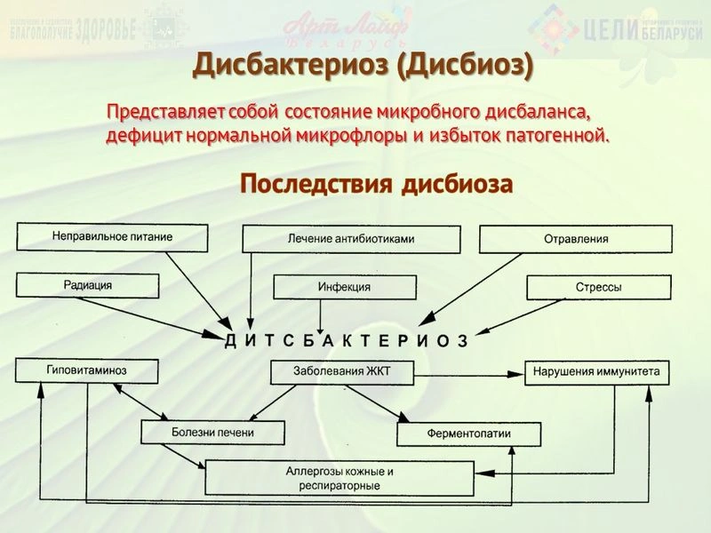 Микробиом. Микронутриенты в нормализации кишечной микрофлоры. Часть II.