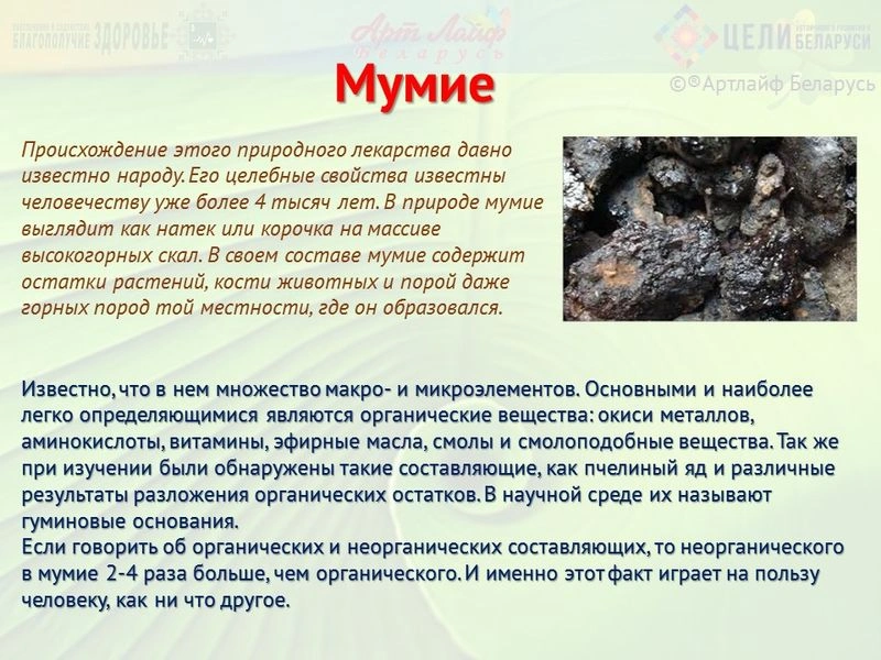 Адаптогены. Мумие.