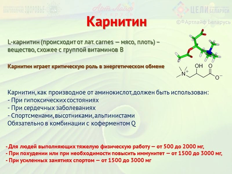 Карнитин.