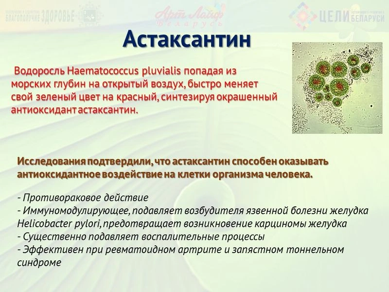 Астаксантин. Фукоксантин.
