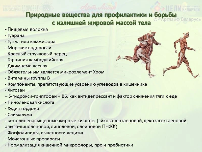 Обмен веществ. Природные вещества для профилактики и борьбы с ожирением.