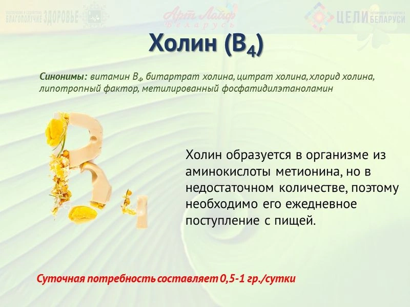 Витаминоподобные вещества. Холин (В4)