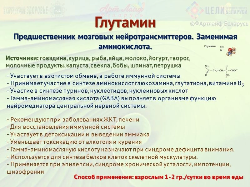 Аминокислоты. Глутамин. Аспарагин.