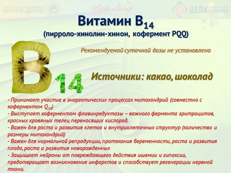 Водорастворимые витамины. Витамин В14