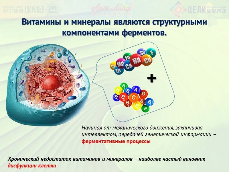 Жирорастворимые витамины. Введение.