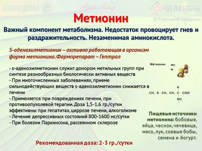 Аминокислоты. Метионин. Глутаминовая кислота