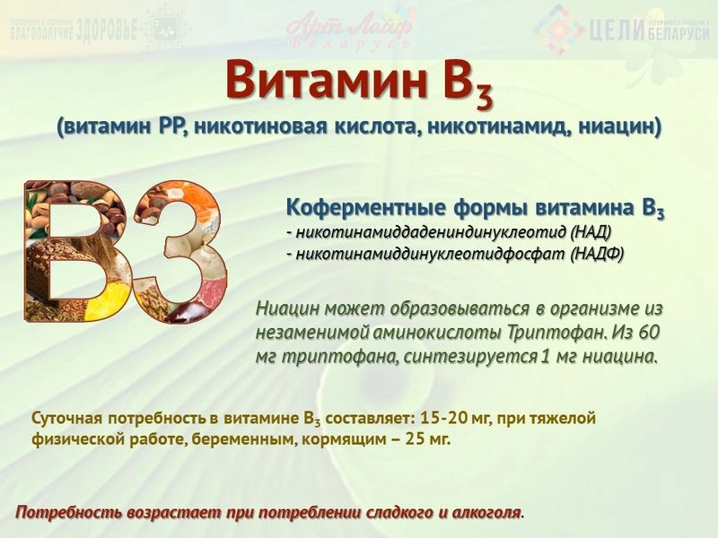 Водорастворимые витамины. Витамин В3