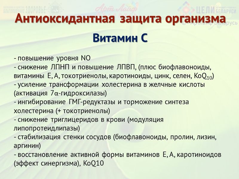 preview_image