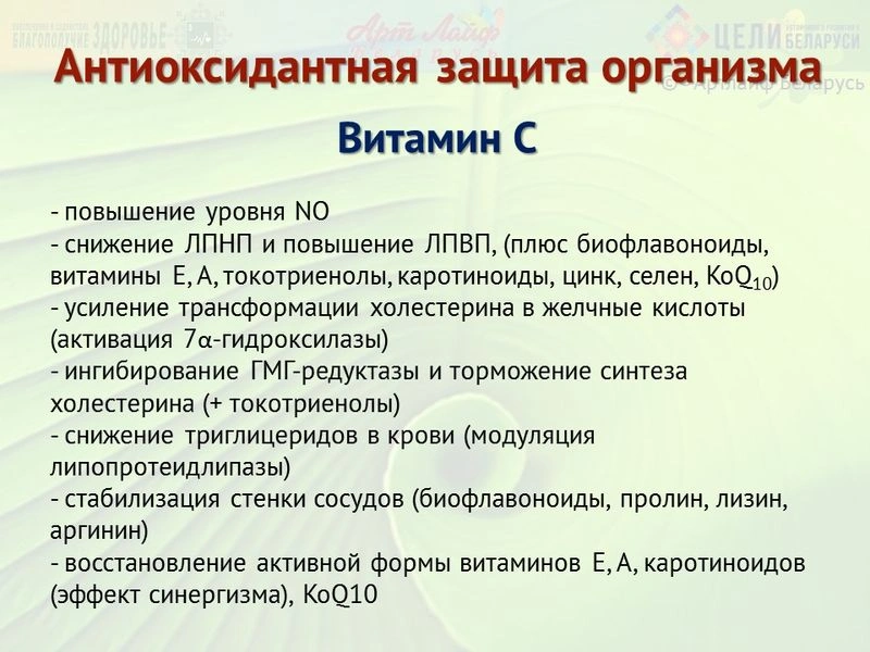 Программы коррекции сердечно-сосудистых заболеваний Часть I.