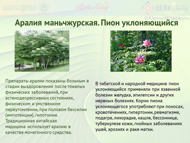 preview_image