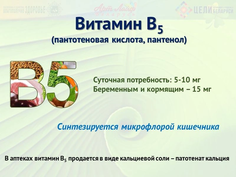 Водорастворимые витамины. Витамин В5