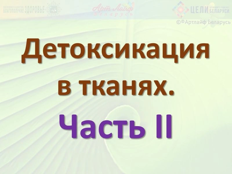 Детоксикация в тканях. Часть II