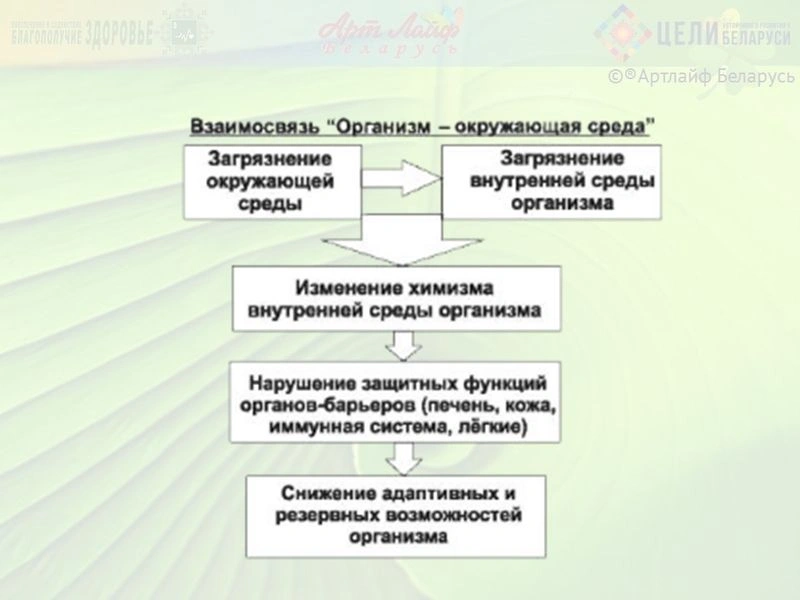 Эндоэкология и ее значение