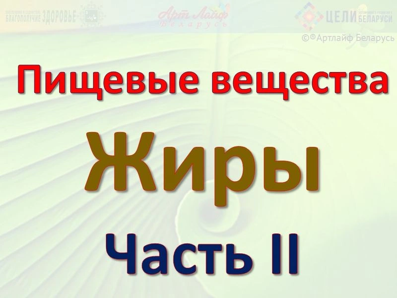Пищевые вещества. Жиры. Строение, расщепление.