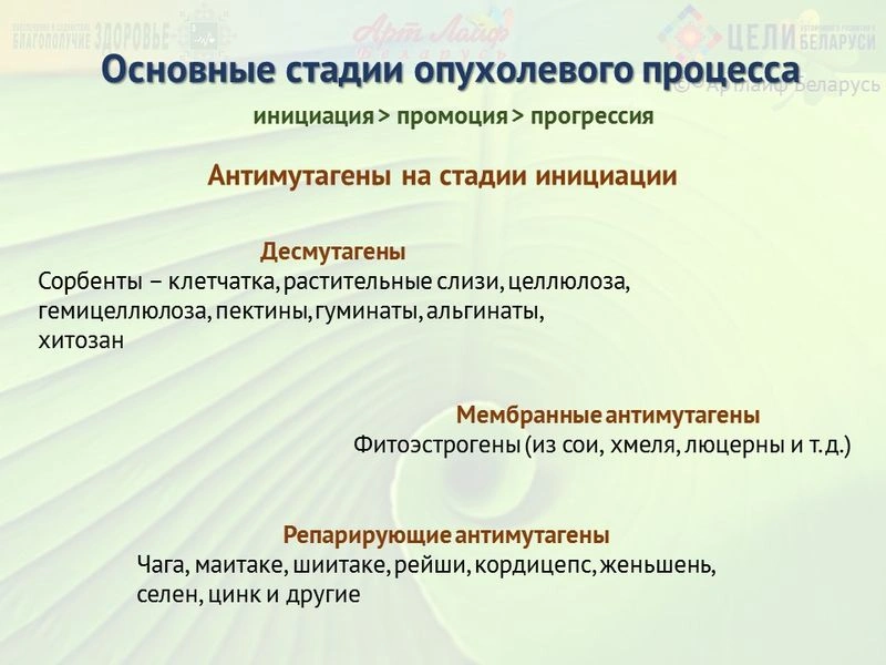 Профилактика инициации онкологических опухолей.