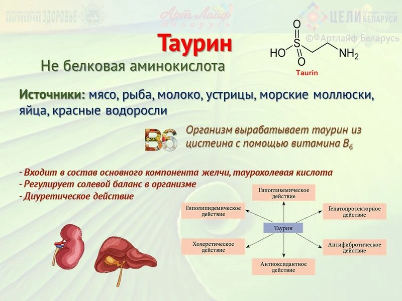 Аминокислоты. Таурин.