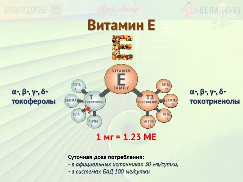 Жирорастворимые витамины. Витамин Е