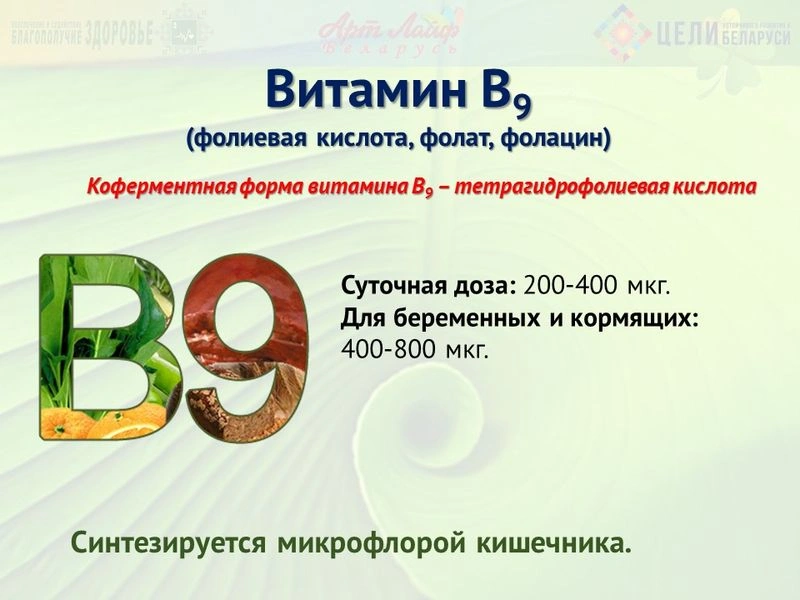 Водорастворимые витамины. Витамин В9