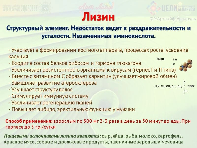 Аминокислоты. Лизин. Гистидин.