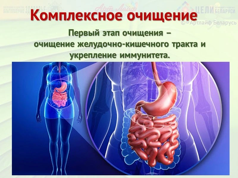 Комплексное очищение. Часть I.