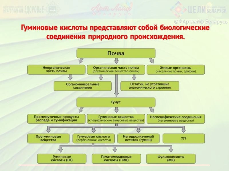 Гуминовые и Фульвовые кислоты. Польза для человека. Часть I.