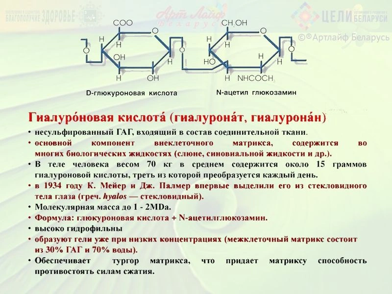 Гиалуроновая кислота