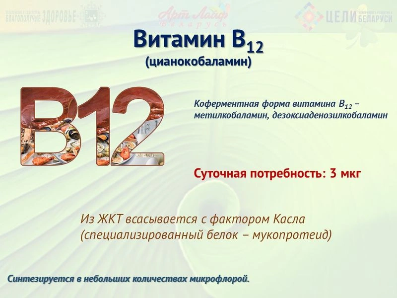 Водорастворимые витамины. Витамин В12