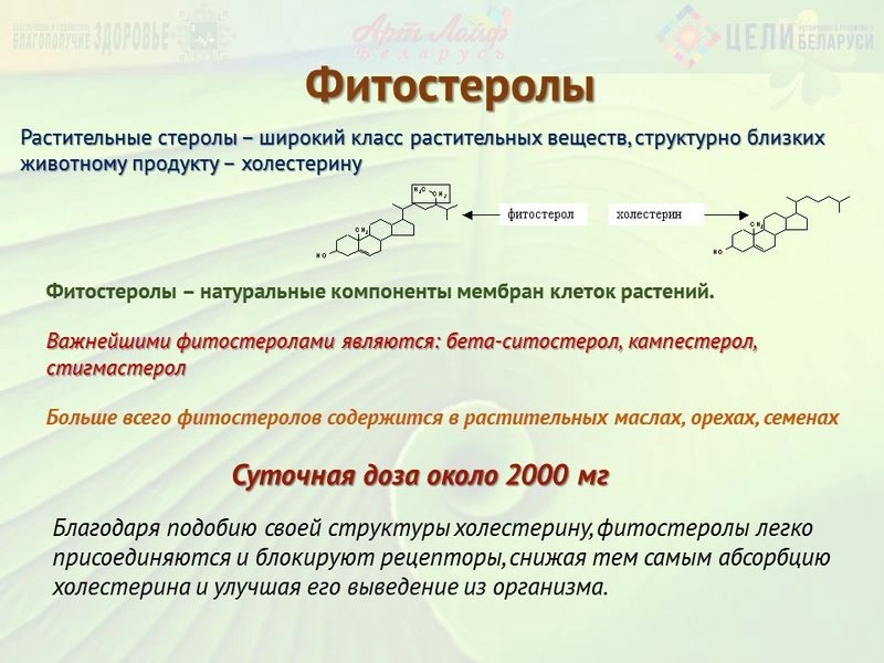 Фитостеролы.