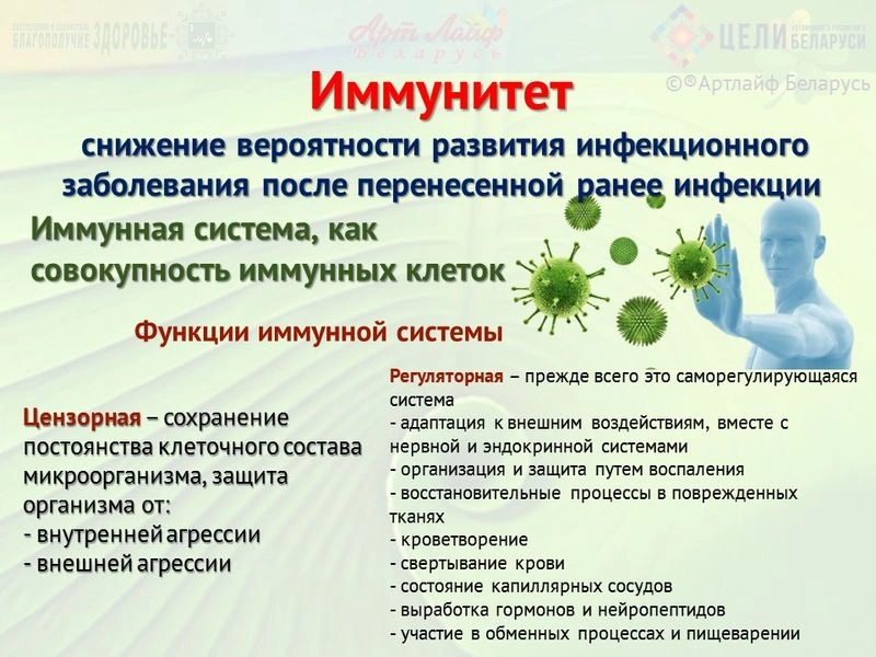 Иммунитет. Иммуномодуляторы.