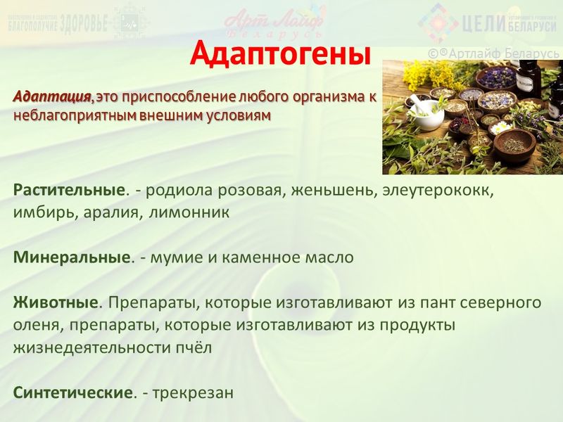 preview_image
