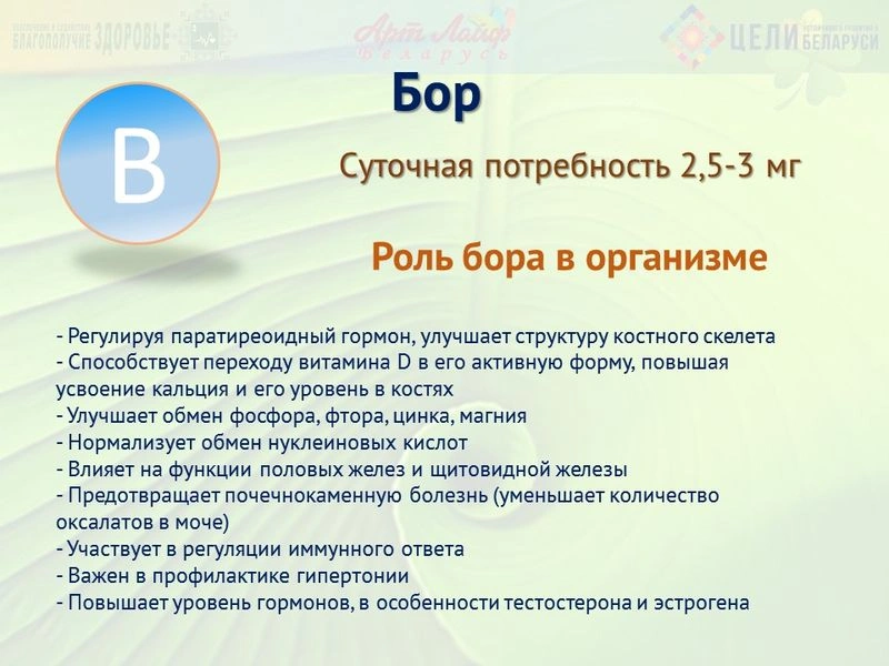 Минералы. Бор