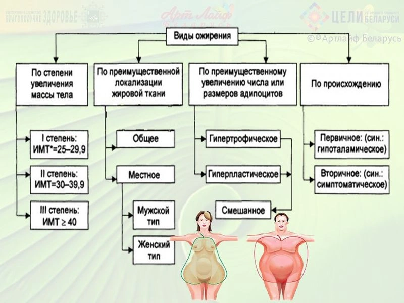 Классификация ожирения. Гормоны, влияющие на ожирение.