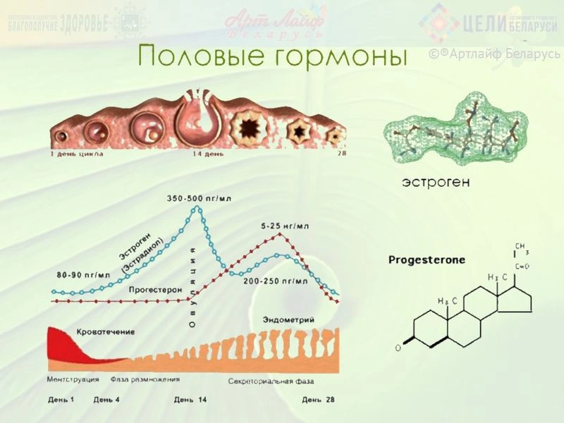 Женское здоровье. Программы коррекции.