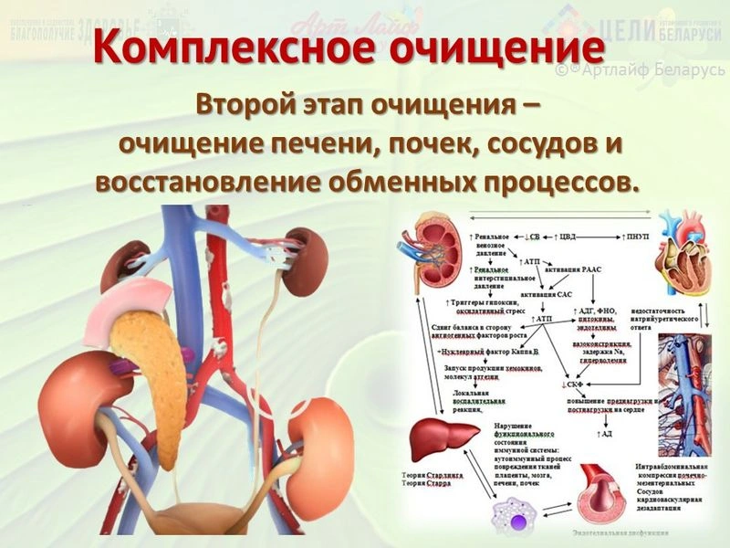 Комплексное очищение. Часть II.
