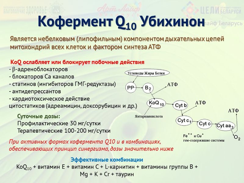 preview_image