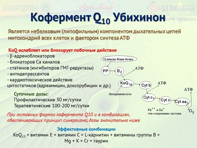 Программы коррекции сердечно-сосудистых заболеваний Часть II.