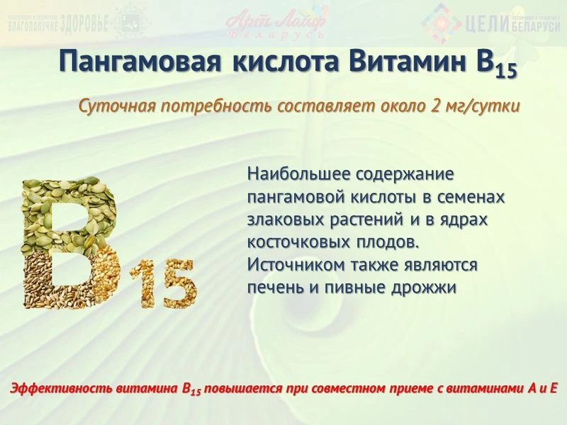 Витаминоподобные вещества. Пангамовая кислота (В15)