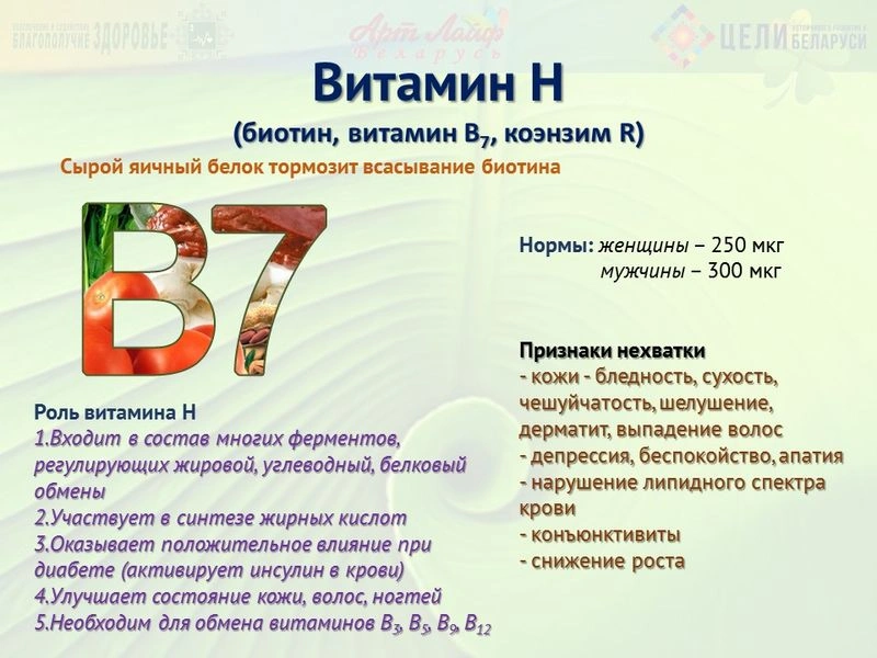 Водорастворимые витамины. Витамин Н