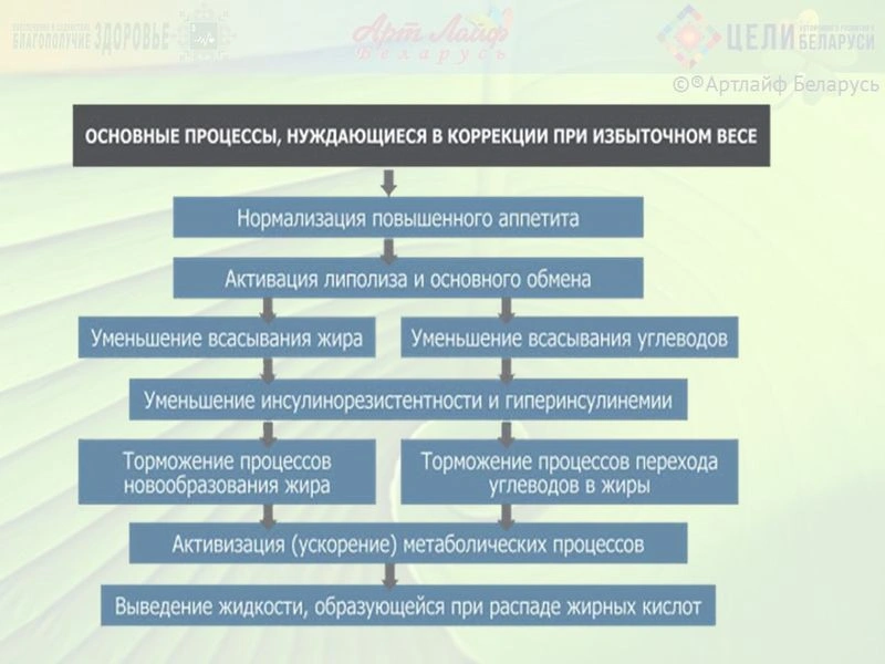 Программный подход к вопросам излишнего веса и ожирения.