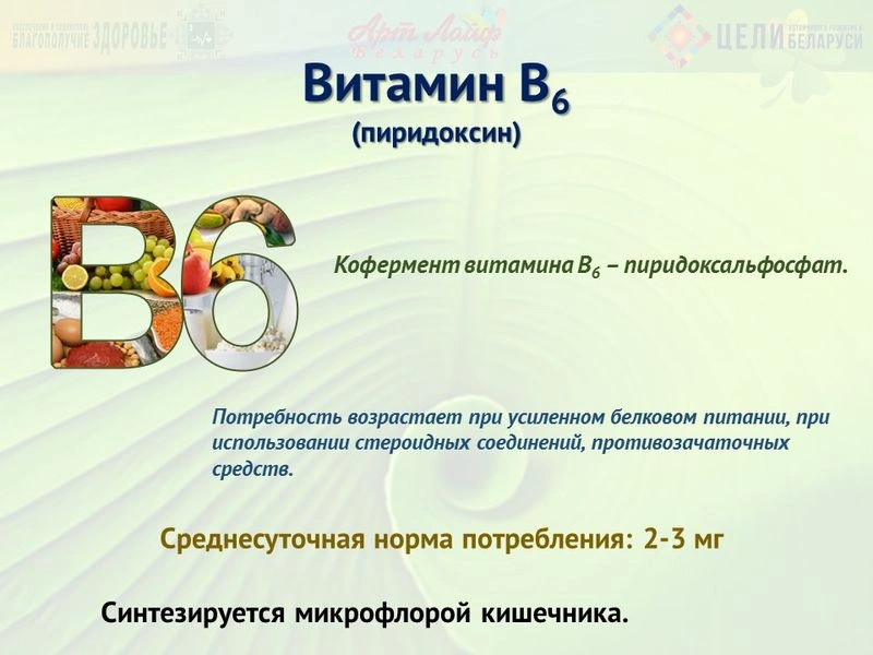 Водорастворимые витамины. Витамин В6