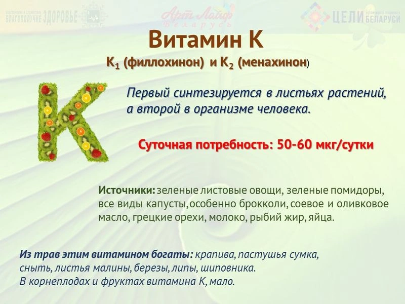 Жирорастворимые витамины. Витамин К
