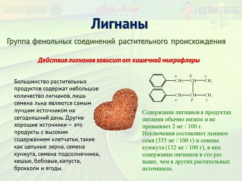 Лигнаны.