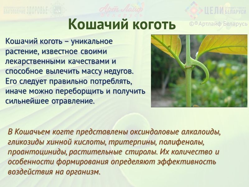 preview_image