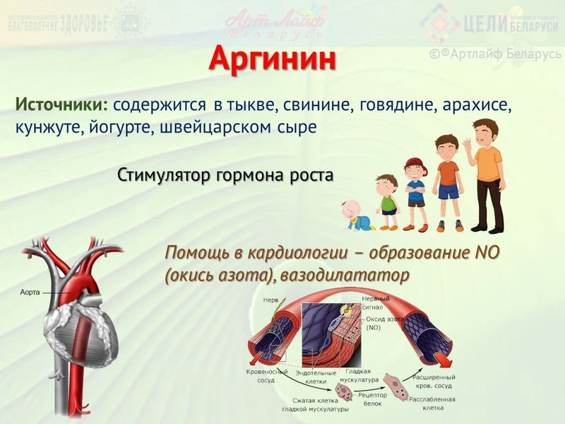 Аминокислоты. Аргинин