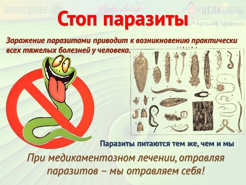 Причина многих заболеваний — паразиты