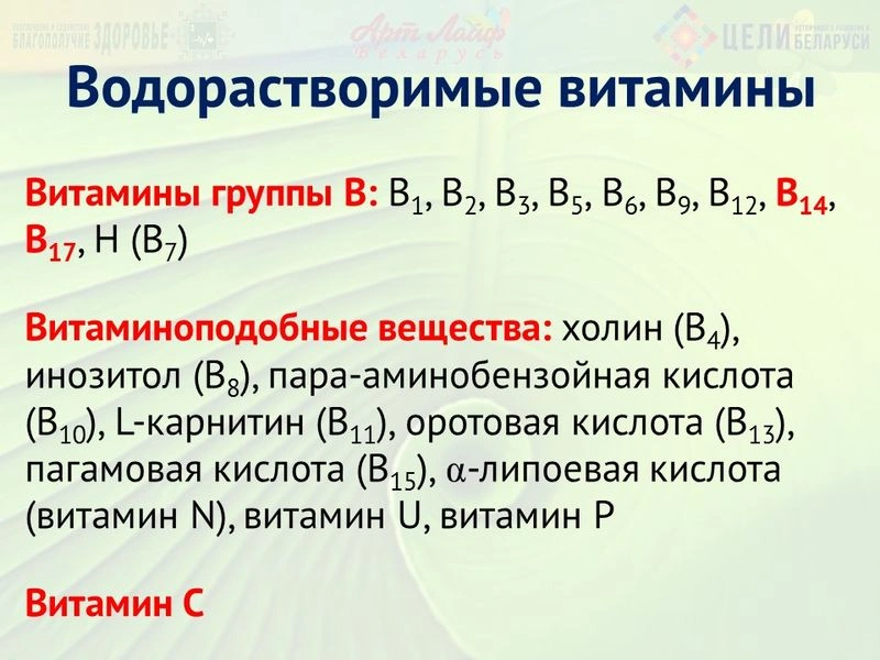 Водорастворимые витамины. Витамин В1