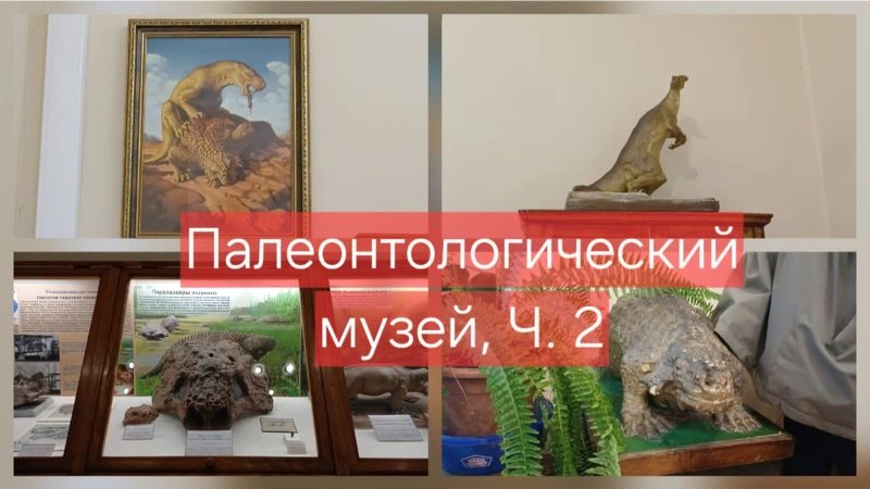 Палеонтологический музей, Ч. 2, экскурсия