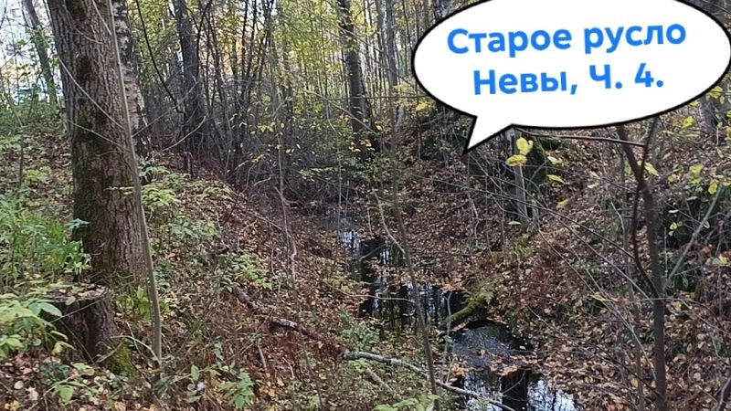 Старое русло Невы, Ч. 4. Полюстровский парки Пискарёвка