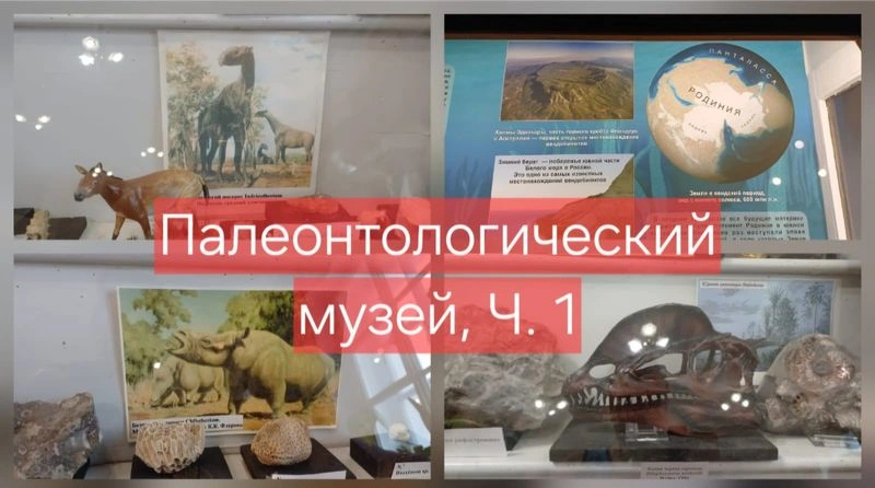 Палеонтологический музей, Ч. 1, экскурсия