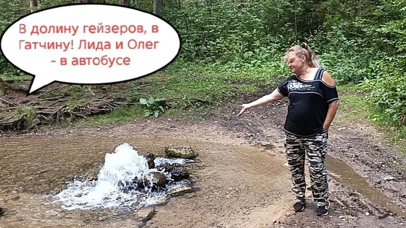 В долину гейзеров, в Гатчину! Лида и Олег — в автобусе